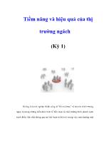 Tiềm năng và hiệu quả của thị trường ngách