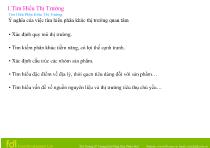 Tìm hiểu phân khúc thị trường