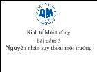 Bài giảng 3: Nguyên nhân suy thoái môi trường