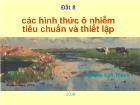 Các hình thức ô nhiễm tiêu chuẩn và thiết lập