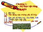 Chương 1: Môi trường – Hệ thực vật rừng ngập mặn