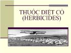 Đề tài Thuốc diệt cỏ (herbicides)