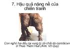 Hậu quả nặng nề của chiến tranh