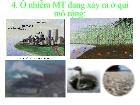 Ô nhiễm môi trường đang xảy ra ở qui mô rộng