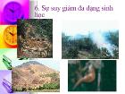 Sự suy giảm đa dạng sinh học