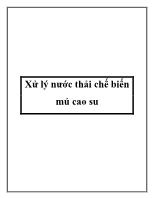 Xử lý nước thải chế biến mủ cao su