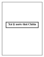 Xử lý nước thải Chitin