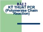 Bài 2 Kỹ thuật PCR (polymerase chain reaction)