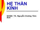 Bài giảng Hệ thần kinh - Nguyễn Dương Tâm Anh