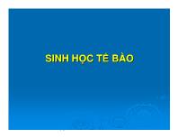 Bài giảng Sinh học tế bào