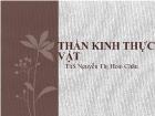 Bài giảng Thần kinh thực vật