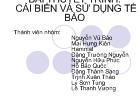 Bài thuyết trình: Cải biến và sử dụng tế bào