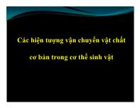 Các hiện tượng vận chuyển vật chất cơ bản trong cơ thể sinh vật