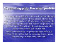 Các phương pháp thu nhận protein