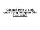 Các quá trình vi sinh quan trọng liên quan đến thực phẩm