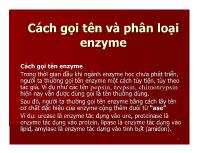 Cách gọi tên và phân loại enzyme