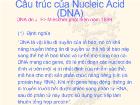 Cấu trúc của Nucleic Acid (DNA)