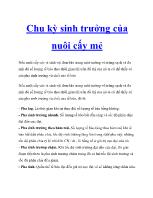 Chu kỳ sinh trưởng của nuôi cấy mẻ