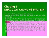 Chương 1: Khái quát chung về protein