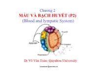 Chương 2 Máu và bạch huyết (Phần 2)