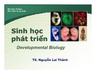 Chương 2 Sự tạo giao tử ở động vật