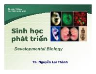 Chương 3 Sự thụ tinh