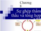 Chương 8 Sự ghép thẩm thấu và tổng hợp ATP