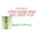 Chương IV Công nghệ sinh học thực vật