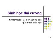 Chương IV: Vi sinh vật và các quá trình sinh học