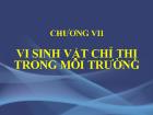 Chương VII Vi sinh vật chỉ thị trong môi trường