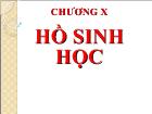 Chương X Hồ sinh học