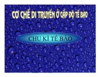 Cơ chế di truyền ở cấp độ tế bào - Chu kì tế bào