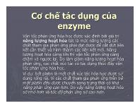 Cơ chế tác dụng của enzyme