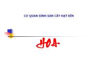 Cơ quan sinh sản cây hạt kín - Hoa