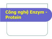 Công nghệ Enzym -Protein