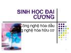 Công nghệ hóa dầu Công nghệ hóa hữu cơ