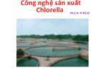 Công nghệ sản xuất Chlorella