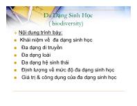 Đa dạng sinh học ( biodiversity)