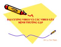 Đại cương virus và các virus gây bệnh thường gặp