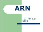 Đề tài ARN - Trần Cát Đông