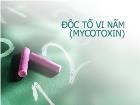 Độc tố vi nấm (mycotoxin)