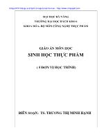 Giáo án môn học sinh học thực phẩm