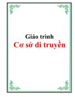 Giáo trình Cơ sở di truyền