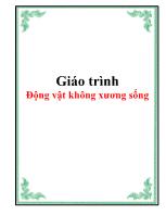 Giáo trình Động vật không xương sống