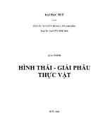 Giáo trình Hình thái - Giải phẫu thực vật