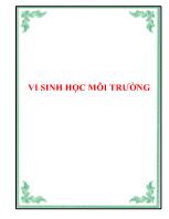 Giáo trình Vi sinh học môi trường