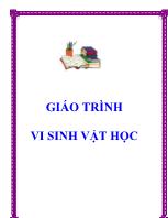 Giáo trình Vi sinh vật học