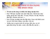 Hệ sinh thái và đa dạng hệ sinh thái