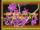 Hình thái - Giải phẫu học thực vật