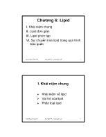 Hóa Sinh thực phẩm – Chương 6: Lipid